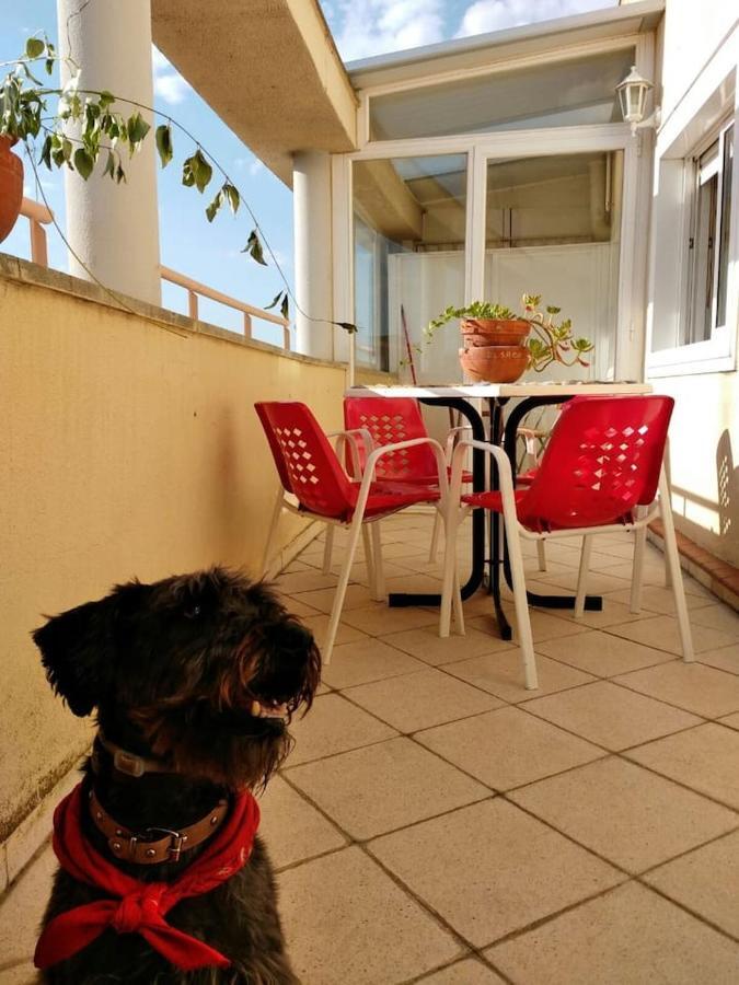 Apartmán El Trastero Santa Marta de Tormes Exteriér fotografie